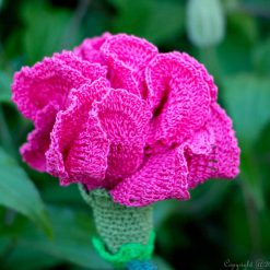 Carnation Crochet
