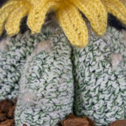 Alternative view of Bishop Cactus Crochet Pattern