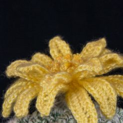 Bishop Cactus Crochet Pattern 7 bishop catus 3 2