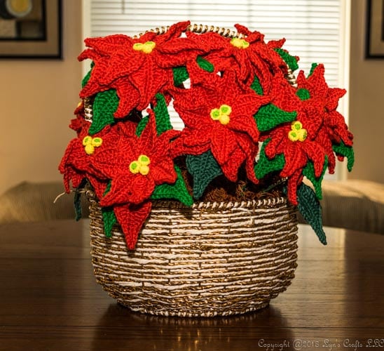 Christmas Crochets - Poinsettia 10 Poinsettia Crochet