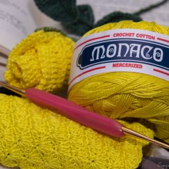 Monaco Crochet Thread with Lyns Rose and eye glass cozy