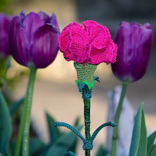 Monaco Crochet Thread: Looking for an awesome crochet thread for your next project. We have it right here. 4 Carnation Crochet Pattern Made with Monaco Cotton Crochet Thread